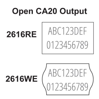 Open CA20 Output Image
