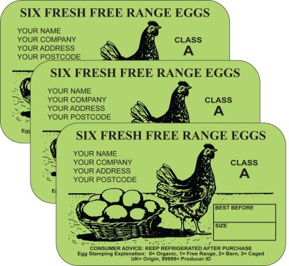 PL3 Egg Box Labels Design design in Green