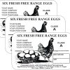 PL3 Egg Box Labels Design in white