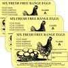 PL3 Egg Box Labels Design in yellow