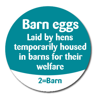 Bird Flu Barn Eggs Advisory Labels